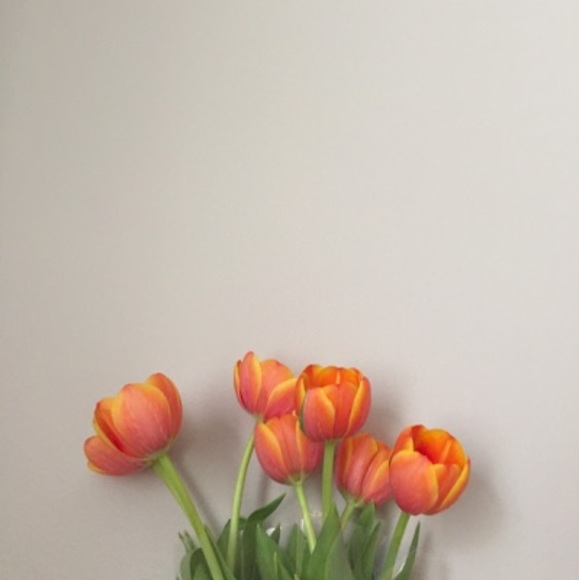 Meet your Posher, Jamie - Picture 1 of 1